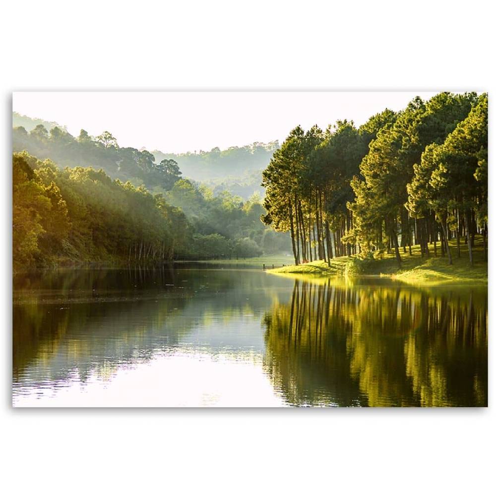 Kaeppel Leinwandbild, Landschaft Waldbaum Natur Discount Store für neue Produkte