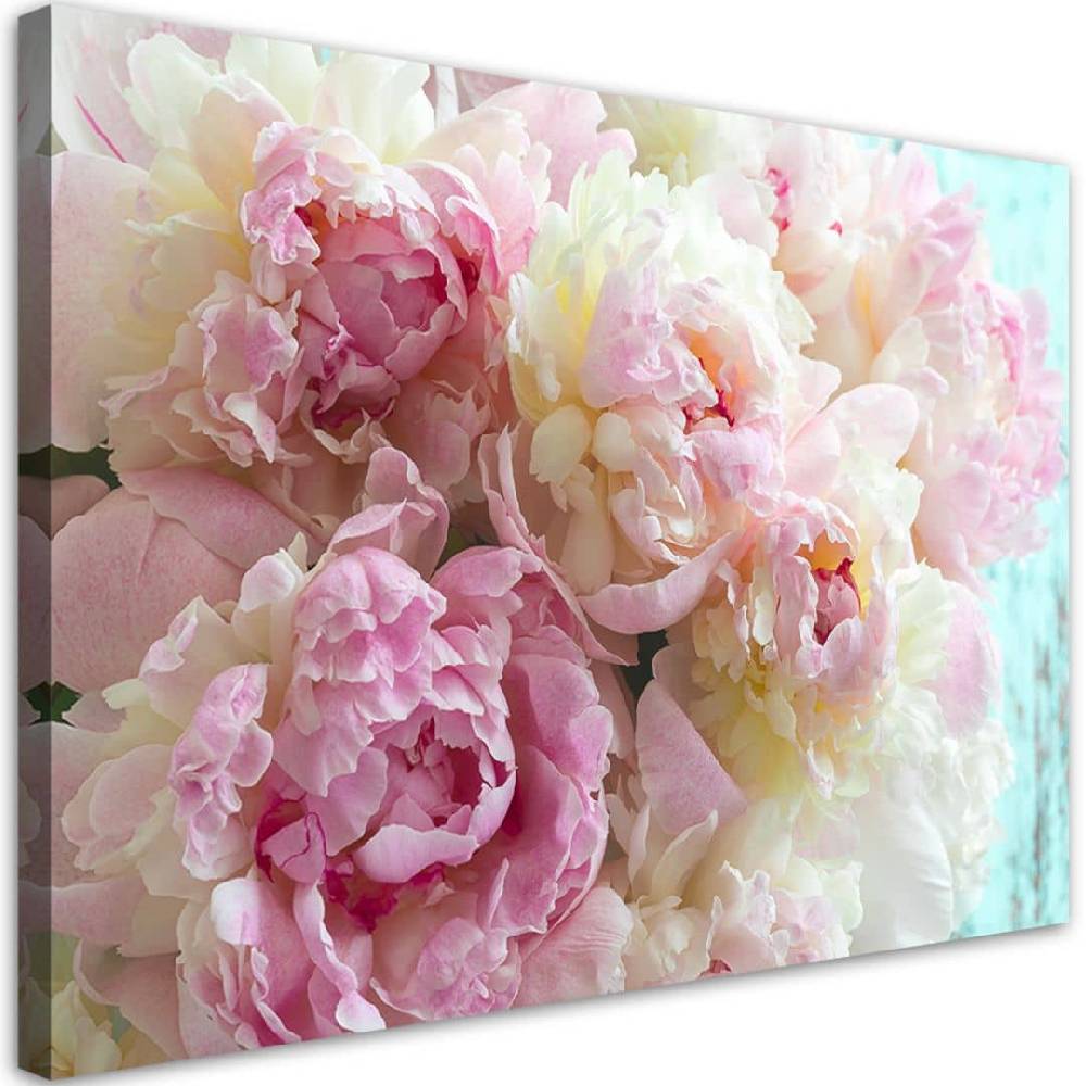 Kaeppel Leinwandbild, Rosa Pfingstrosenblumen