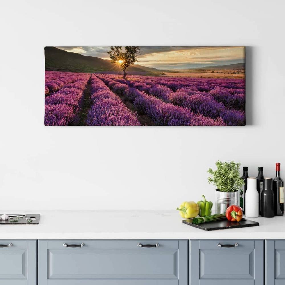 Kaeppel Leinwandbild Lavendelblüte in der Provence - Panorama 01 Rabatt
