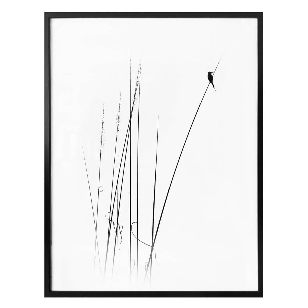 Kaeppel Poster Swapnil - Auszeit Günstig kaufen