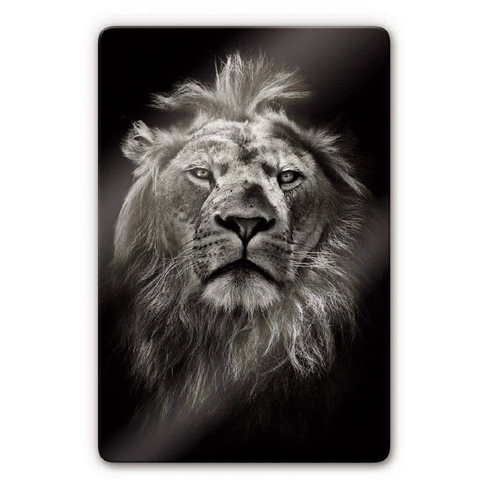 Kaeppel Glasbild Lion Zeitlich begrenztes Angebot