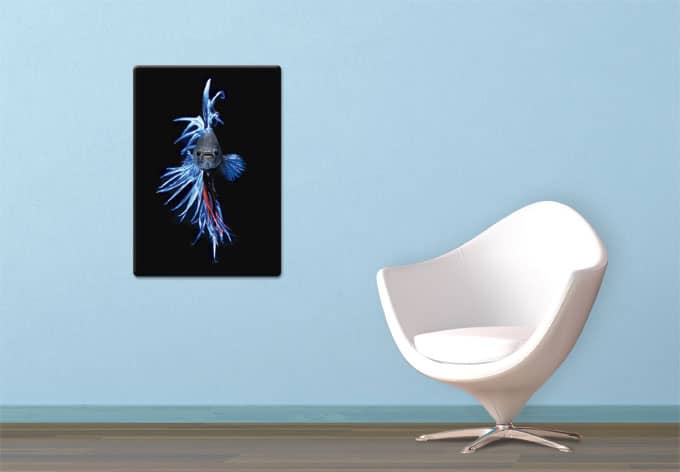 Kaeppel Glasbild Glowfish 1 Im Verkauf