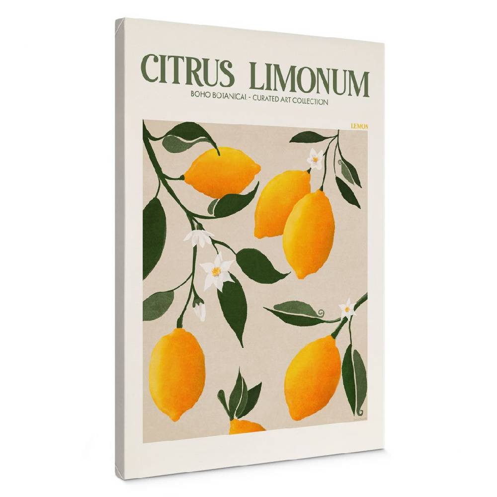 Kaeppel Leinwandbild Boho Zitronenbaum - Citrus Limonum - Tunaboylu