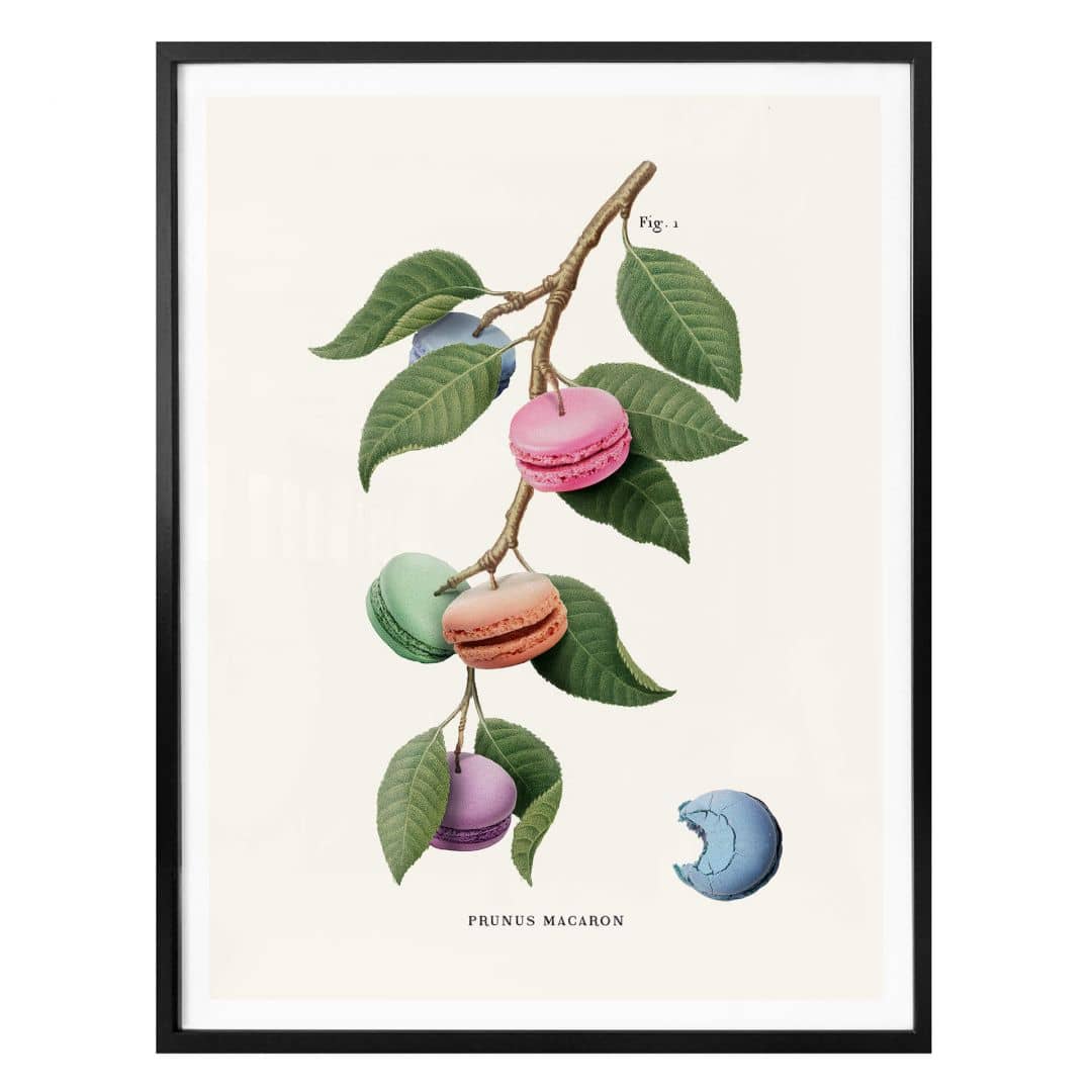 Kaeppel Poster Loose - Macaron Pflanze