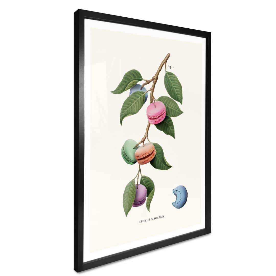 Kaeppel Poster Loose - Macaron Pflanze Begrenztes Angebot
