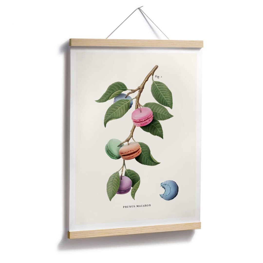 Kaeppel Poster Loose - Macaron Pflanze Begrenztes Angebot