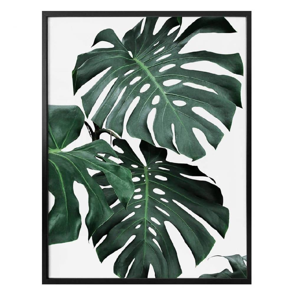 Kaeppel Poster Sisi & Seb - Monstera Cyber Monday