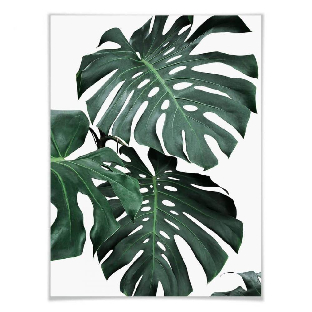 Kaeppel Poster Sisi & Seb - Monstera Cyber Monday