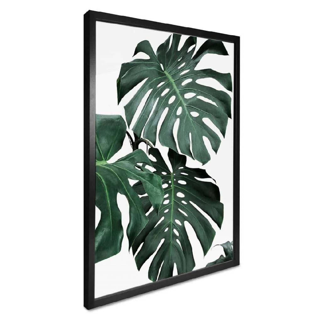 Kaeppel Poster Sisi & Seb - Monstera Cyber Monday