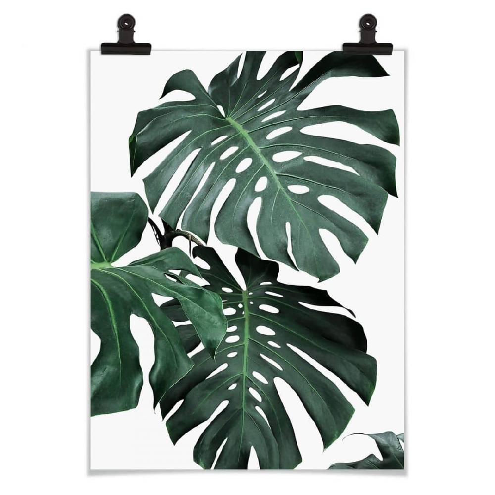 Kaeppel Poster Sisi & Seb - Monstera Cyber Monday