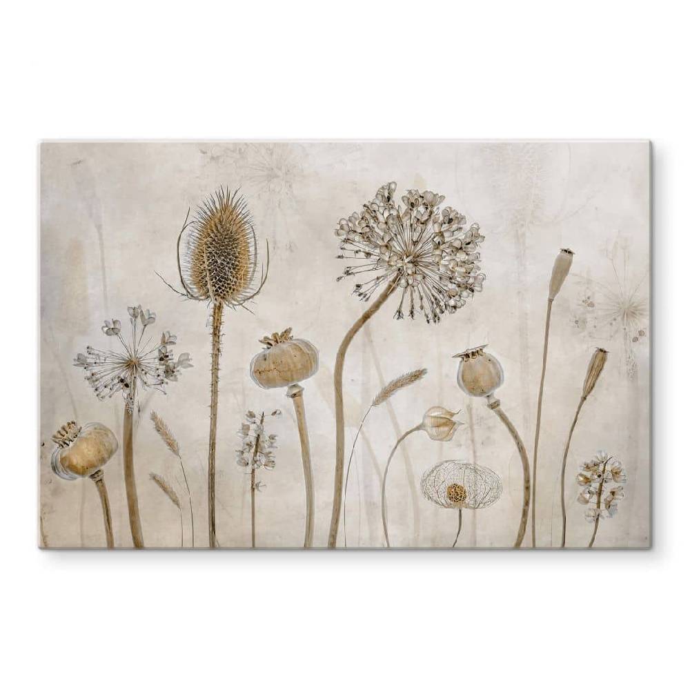 Kaeppel Spritzschutz Disher - Trockenblumen Weihnachtsangebot