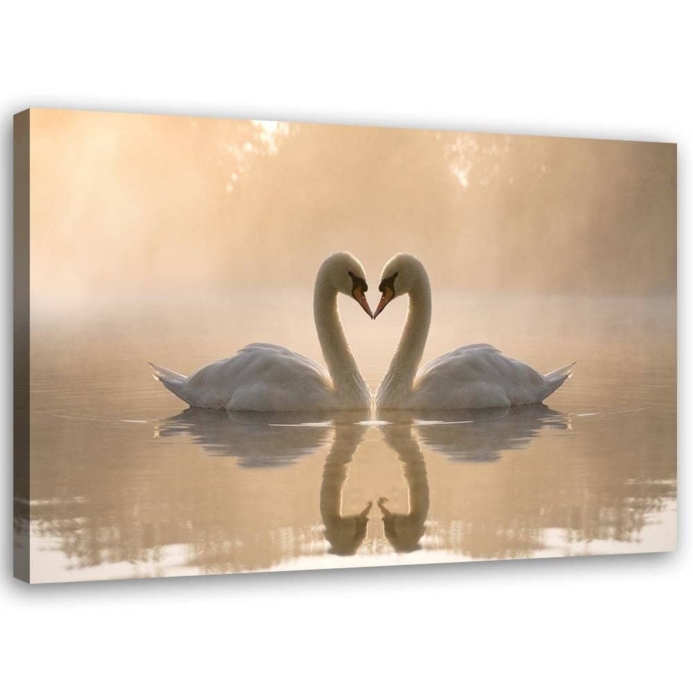 Kaeppel Leinwandbild, Schwäne auf einem Teich