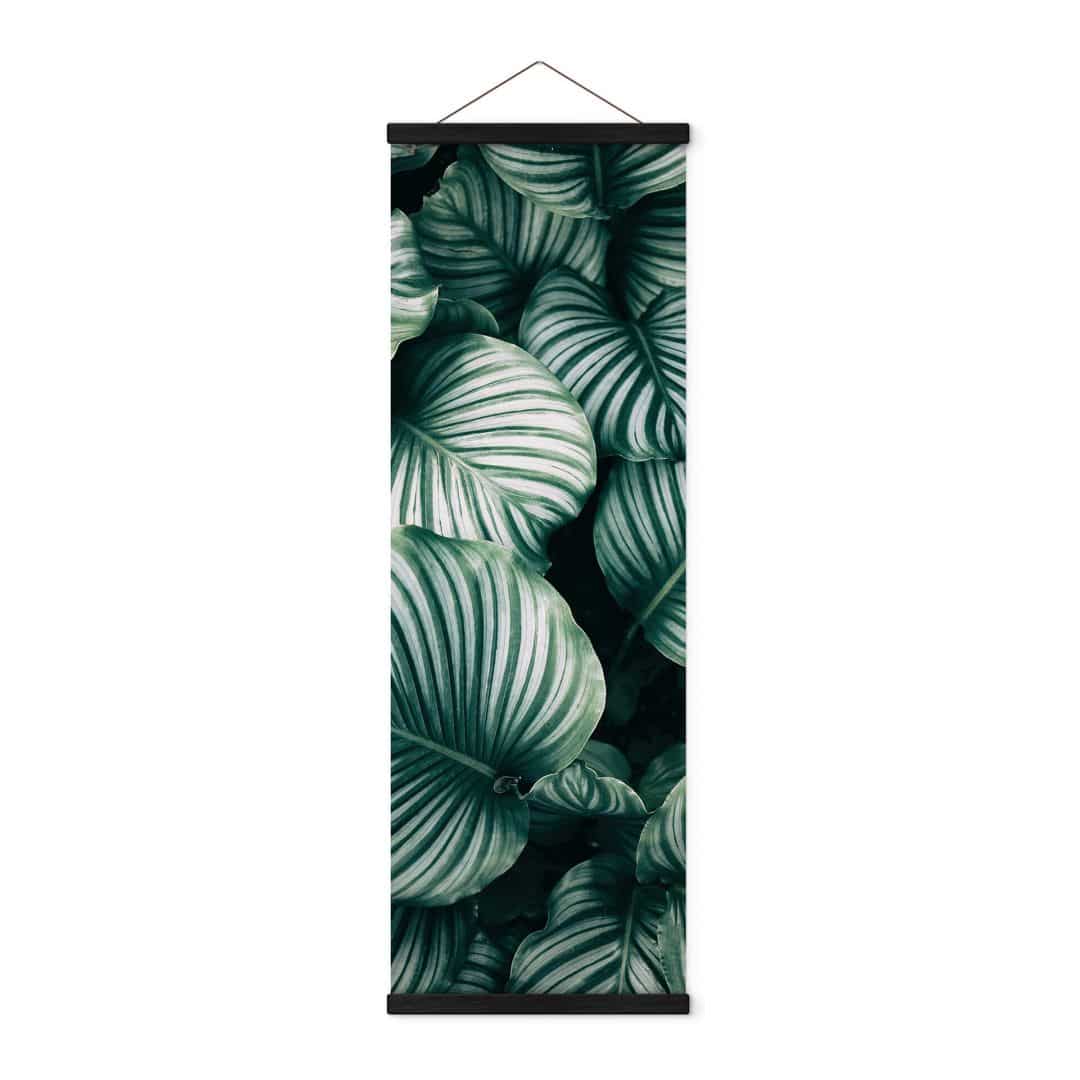 Kaeppel Stoffbild Urban Jungle - Calathea Orbifolia