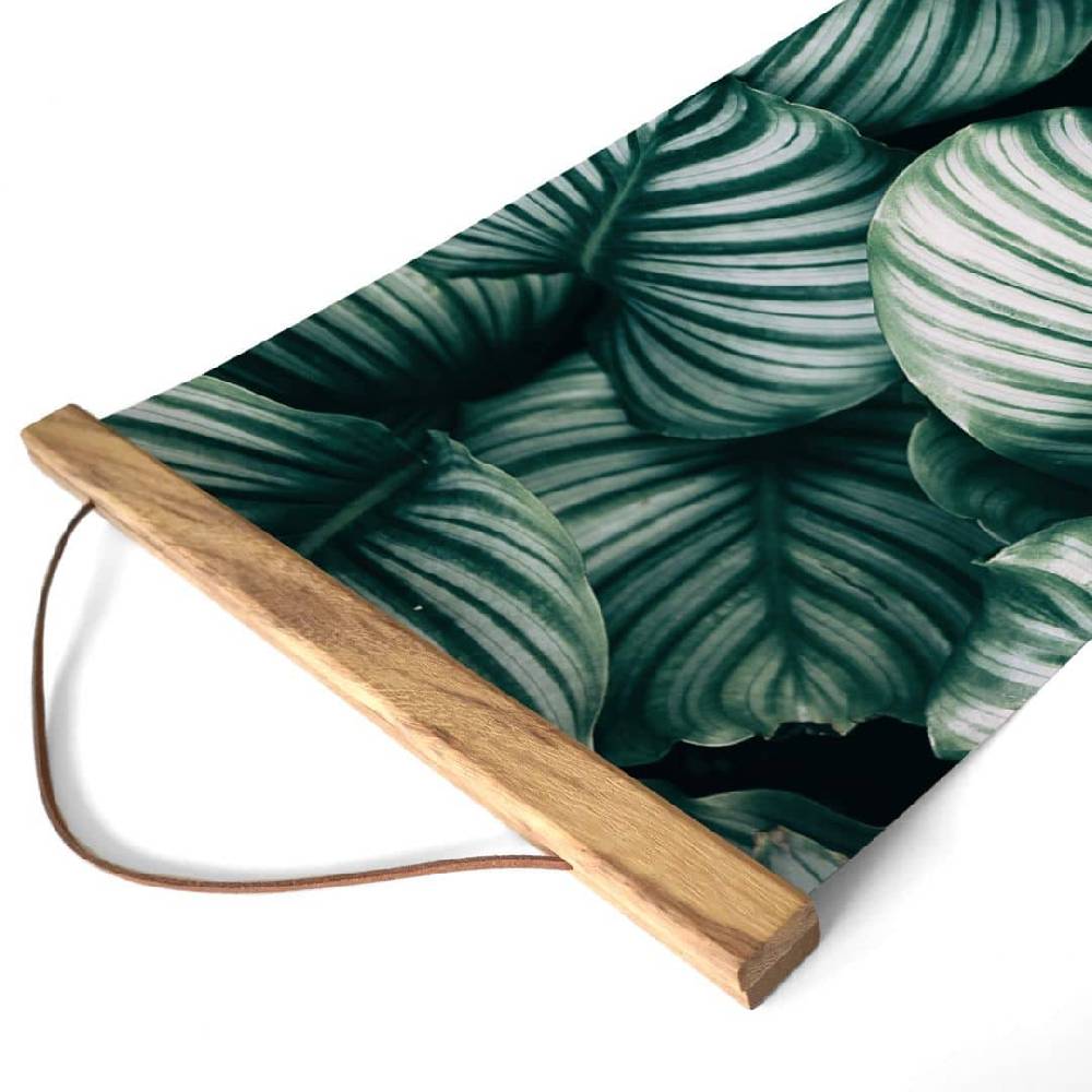 Kaeppel Stoffbild Urban Jungle - Calathea Orbifolia Neueste Stile