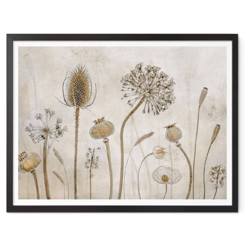 Kaeppel Poster Disher - Trockenblumen