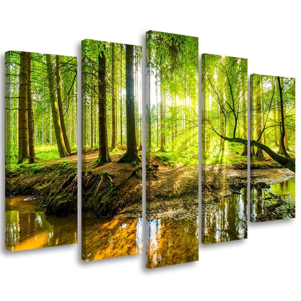 Kaeppel Leinwandbild 5 teilig, Waldsee Natur