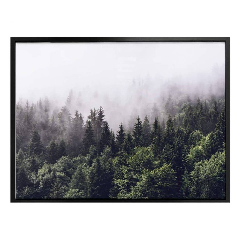Kaeppel Poster Nebliger Wald