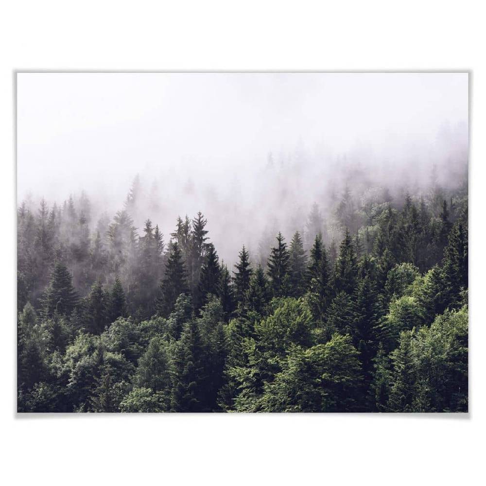 Kaeppel Poster Nebliger Wald im Angebot