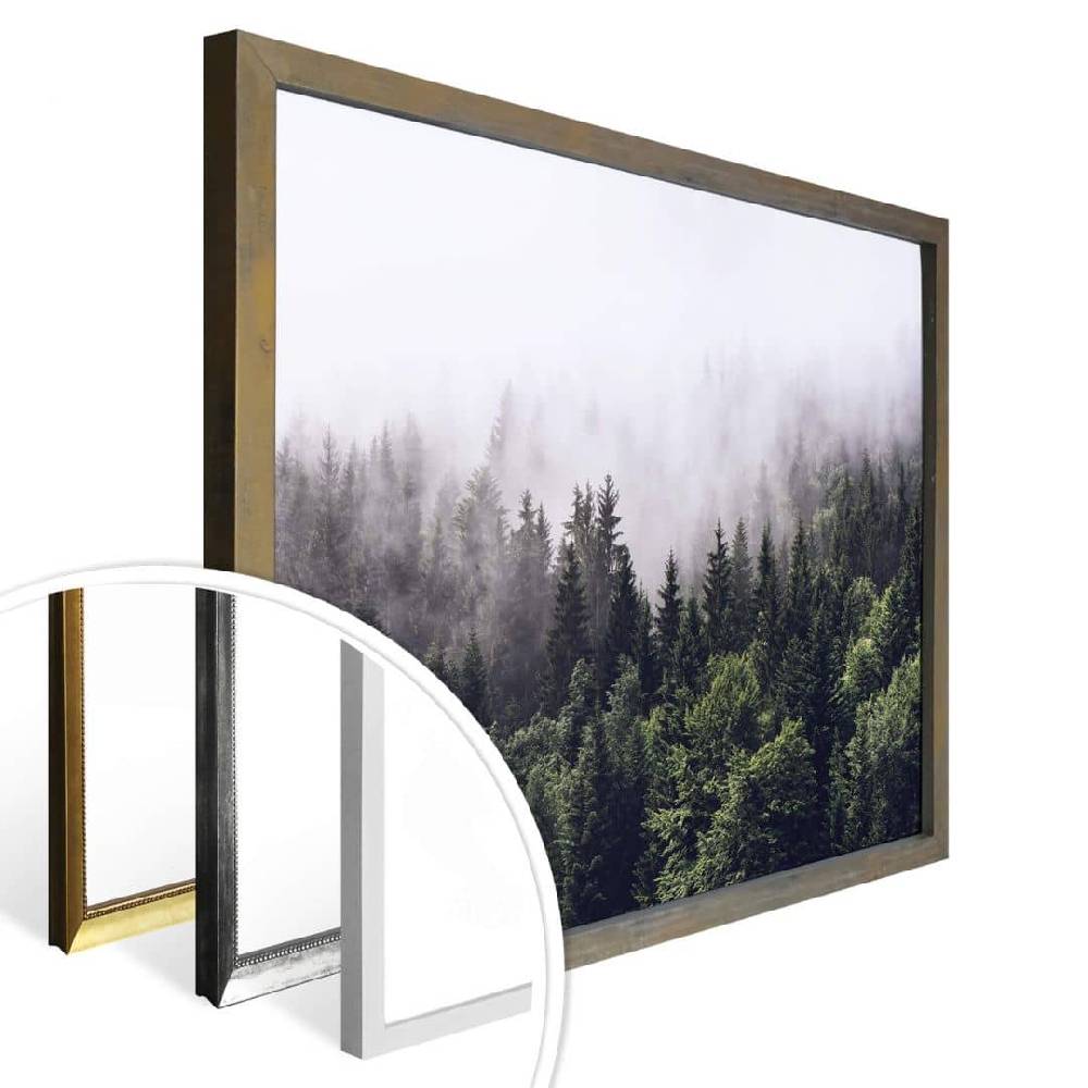 Kaeppel Poster Nebliger Wald im Angebot