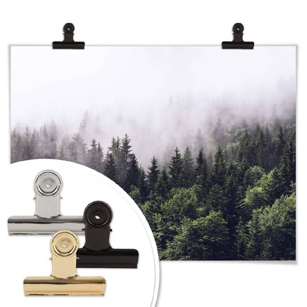 Kaeppel Poster Nebliger Wald im Angebot