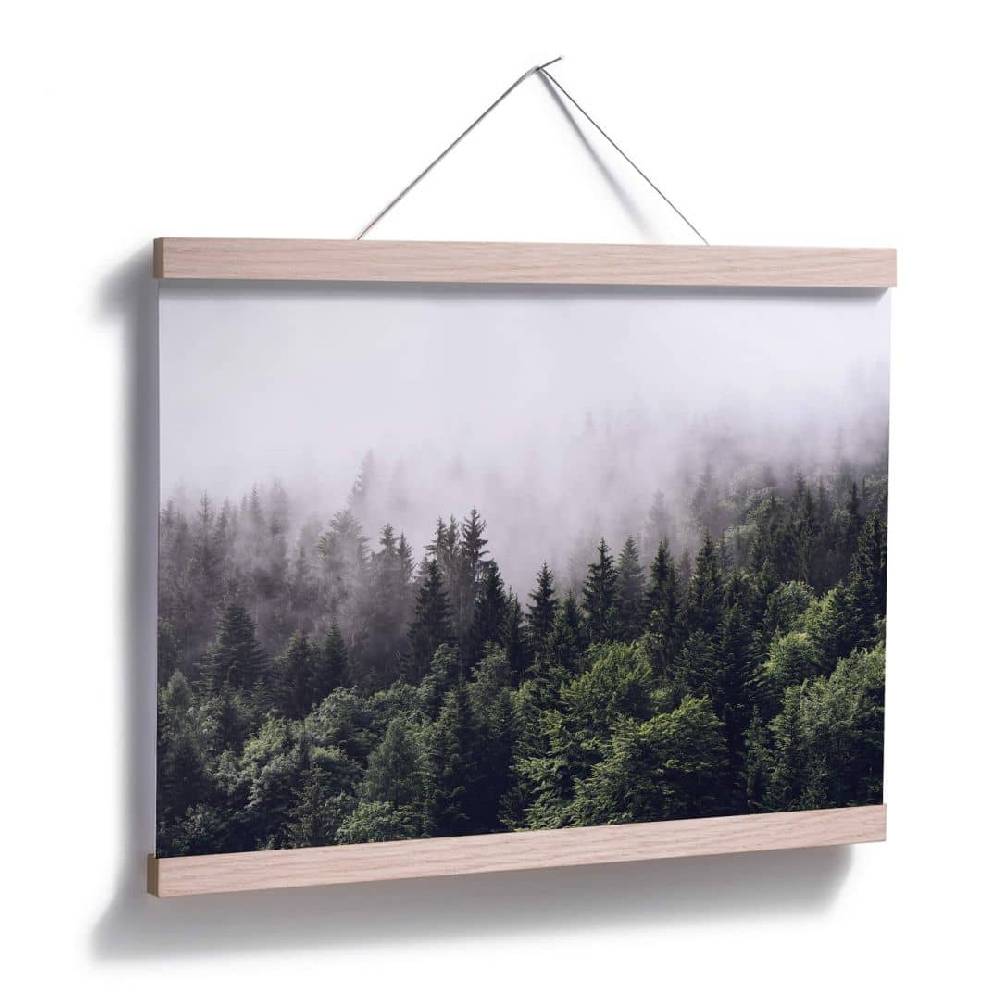 Kaeppel Poster Nebliger Wald im Angebot