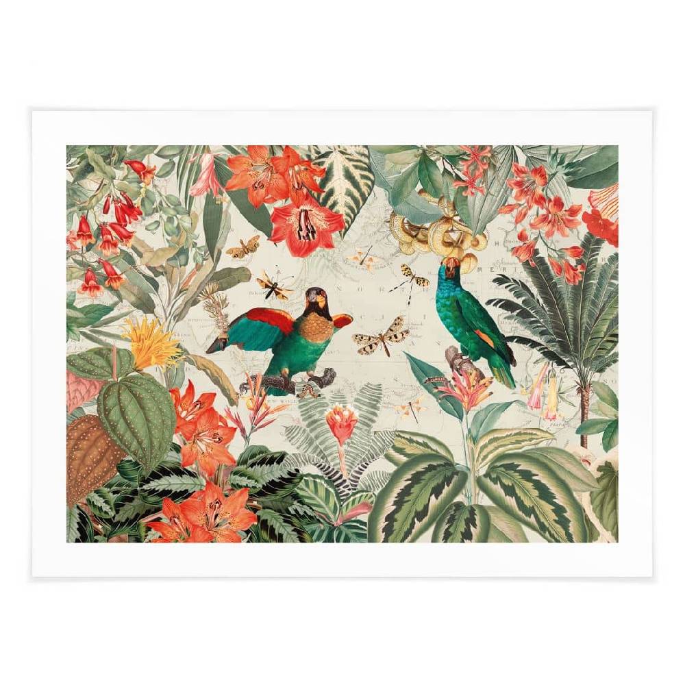 Kaeppel Poster Exotischer Dschungel mit Papageien - UN Designs Kostenloser Versand