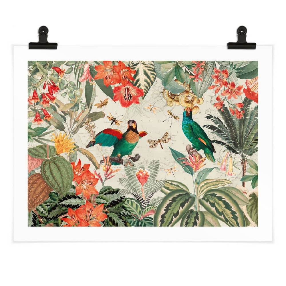 Kaeppel Poster Exotischer Dschungel mit Papageien - UN Designs Kostenloser Versand