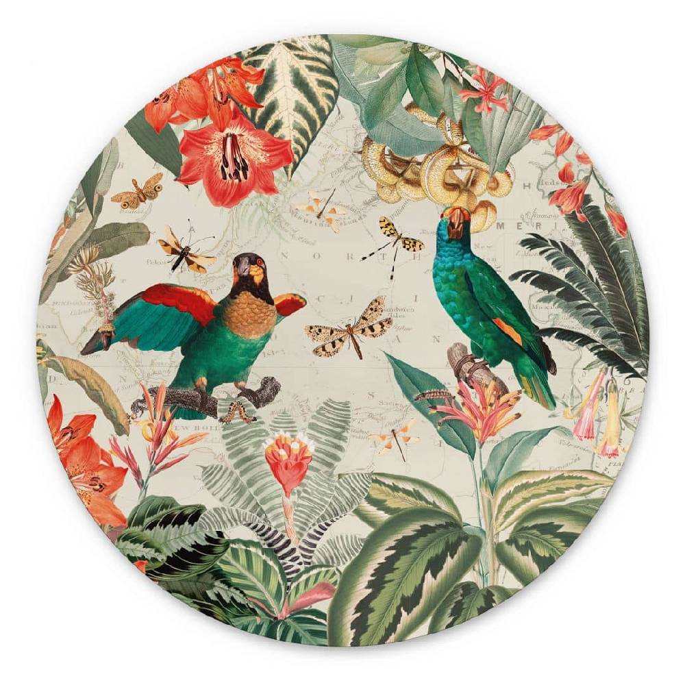 Kaeppel Wandbild Exotischer Dschungel mit Papageien - UN Designs - Alu-Dibond - Rund