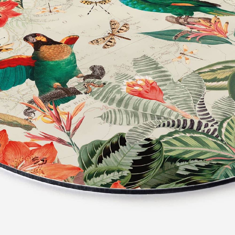 Kaeppel Wandbild Exotischer Dschungel mit Papageien - UN Designs - Alu-Dibond - Rund Sonderangebot
