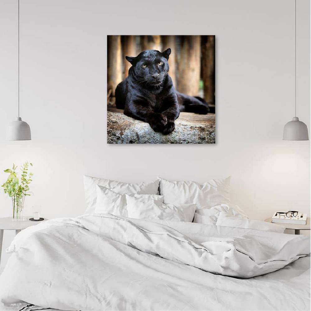 Kaeppel Leinwandbild, Schwarzer Panther Rabatt