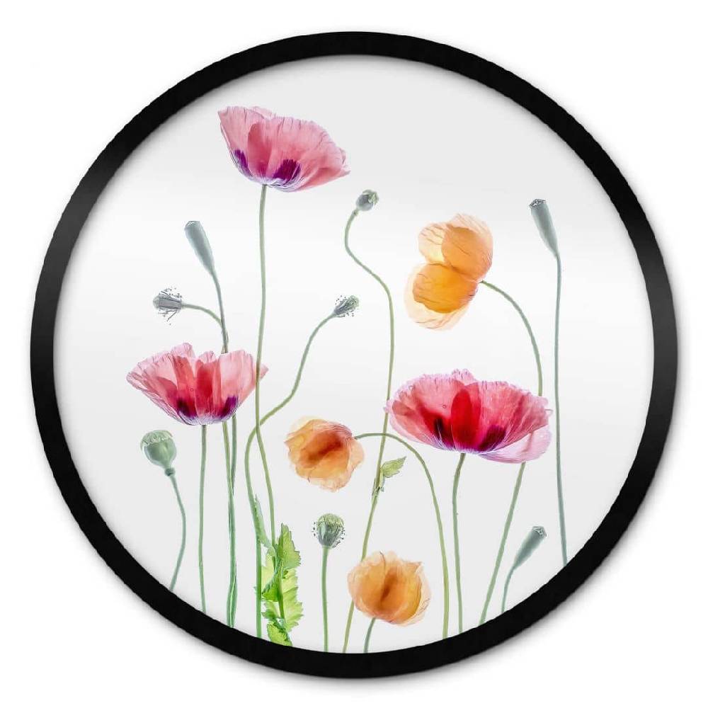 Kaeppel Poster Bunte Mohnblumen Rund - Disher Kostenlose Rückgabe