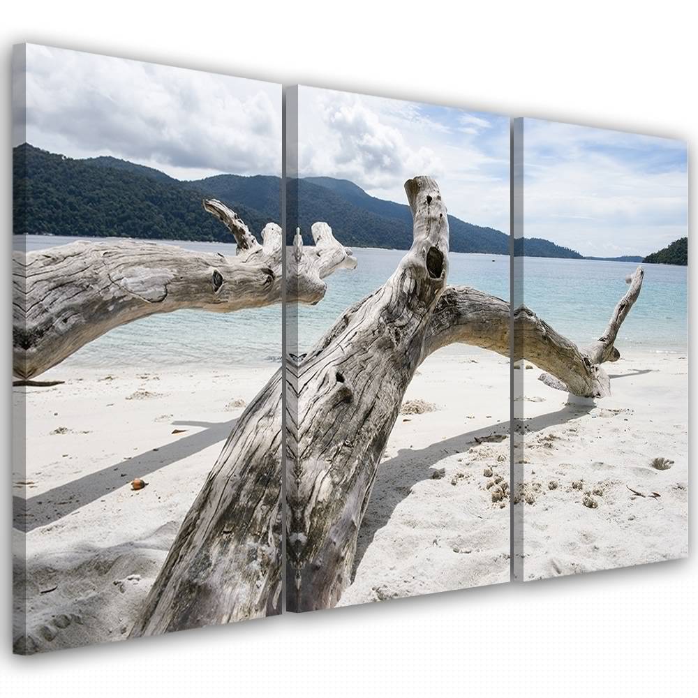 Kaeppel Leinwandbild 3-teilig, Meer Sand Strand Baum