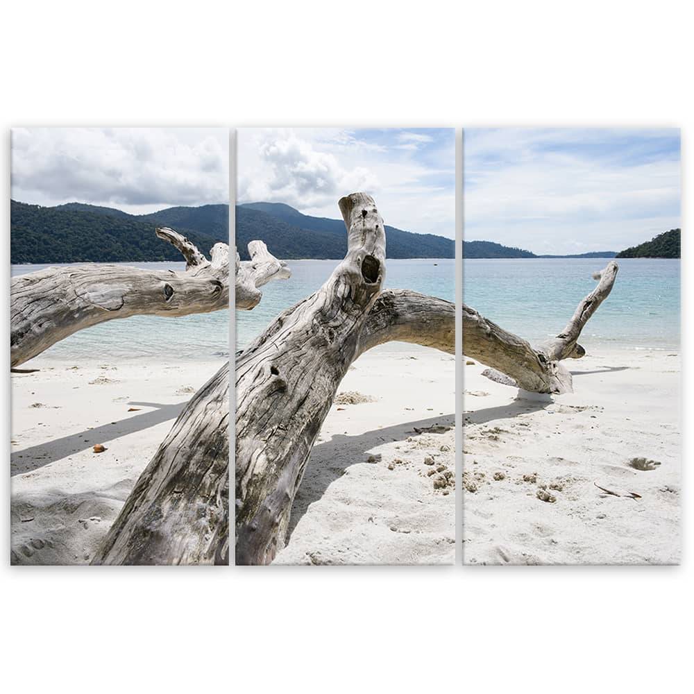 Kaeppel Leinwandbild 3-teilig, Meer Sand Strand Baum Letzte 3 Tage