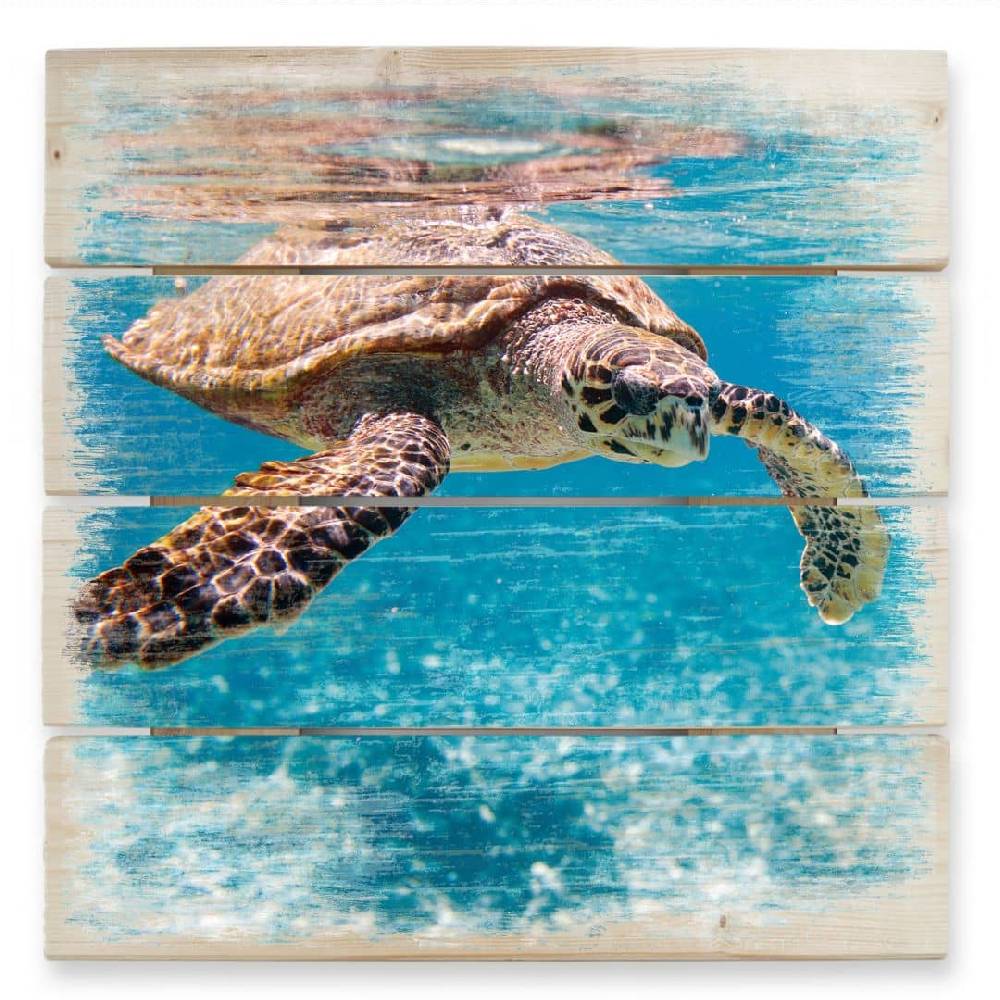 Kaeppel Holzbild Schildkröte auf Reisen