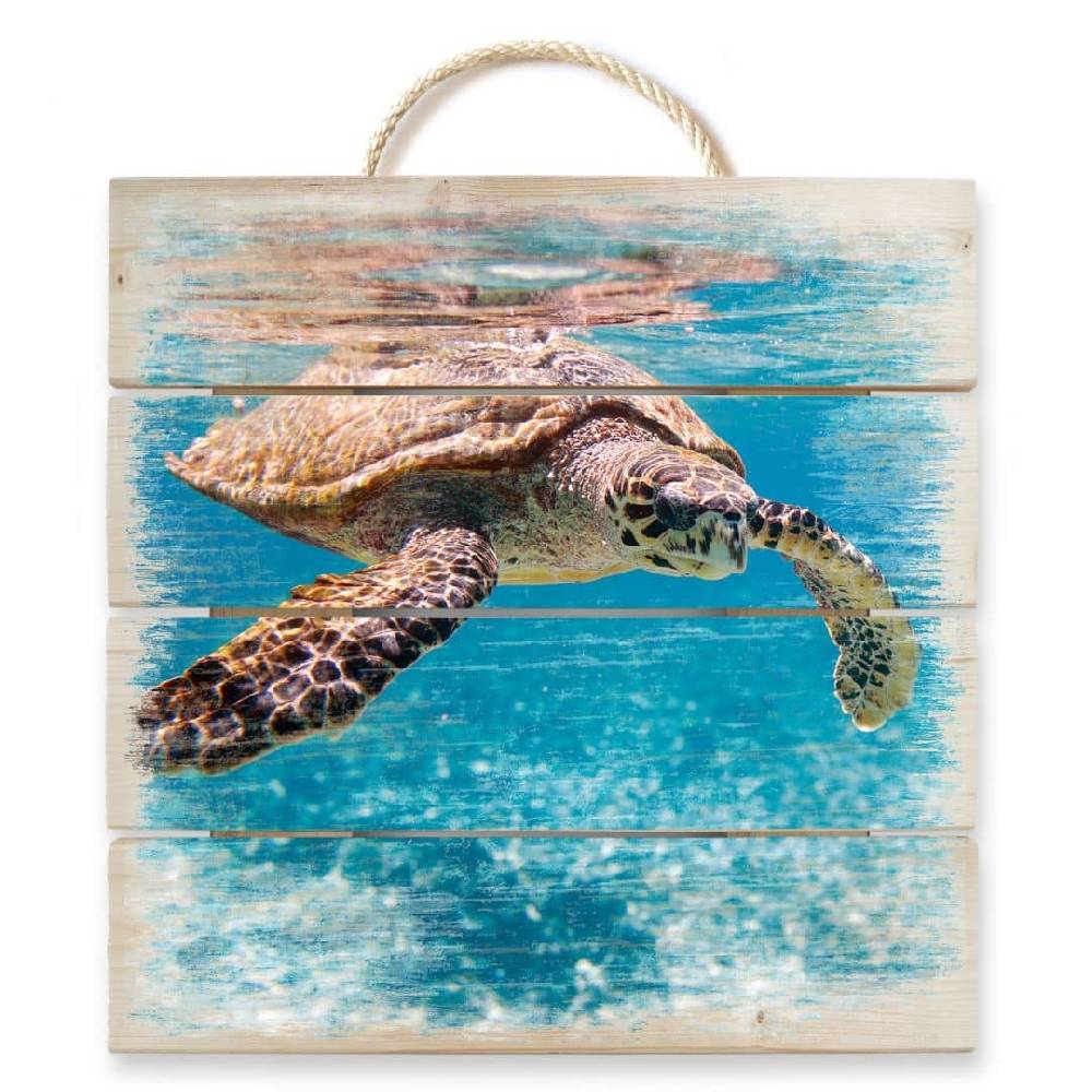 Kaeppel Holzbild Schildkröte auf Reisen Letzter Tag