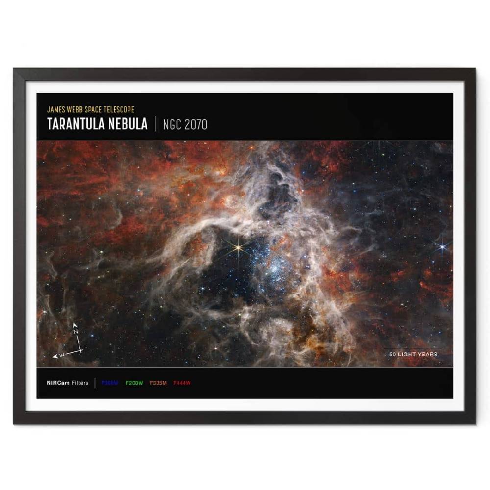 Kaeppel Poster James Webb Telescope - Tarantula Nebula Compass