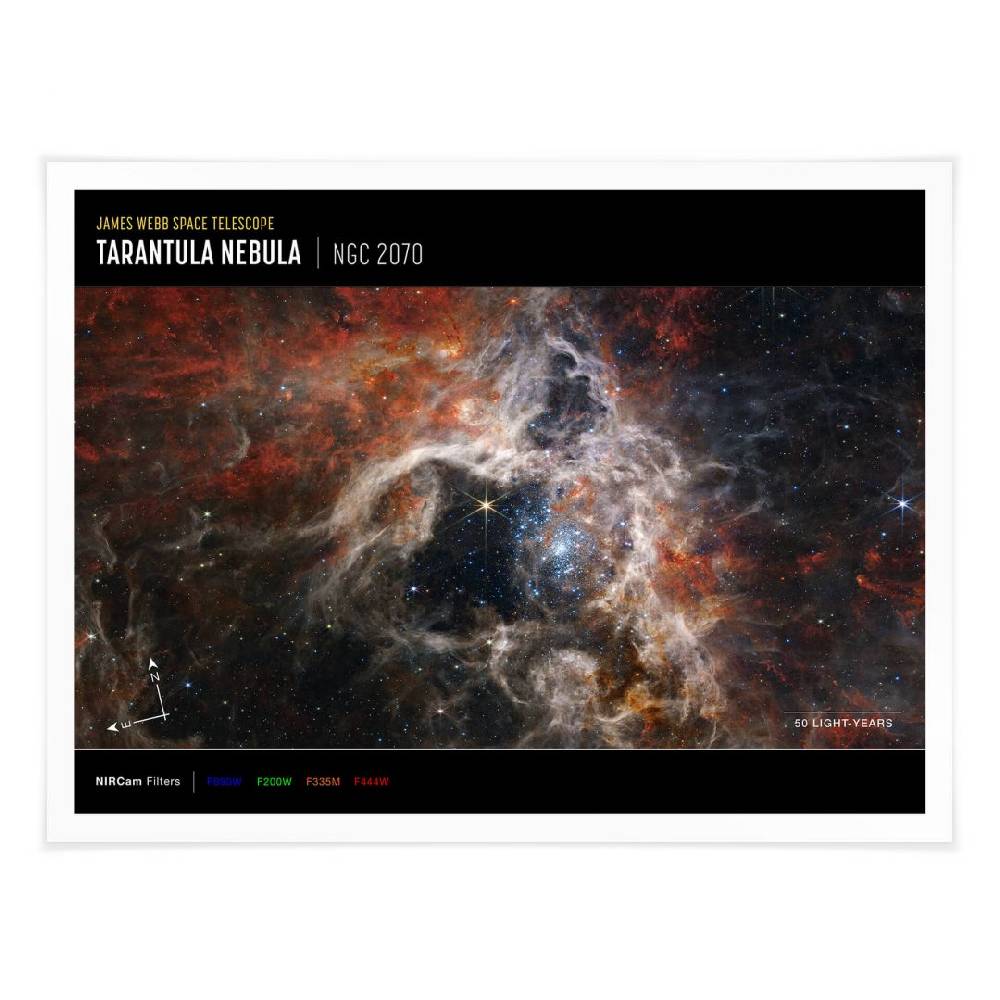 Kaeppel Poster James Webb Telescope - Tarantula Nebula Compass Kostenloser Versand international