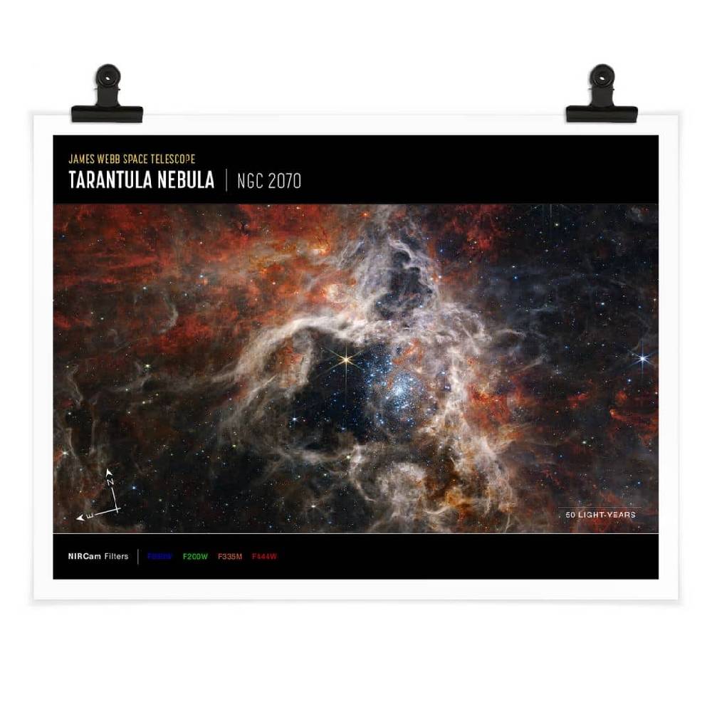 Kaeppel Poster James Webb Telescope - Tarantula Nebula Compass Kostenloser Versand international