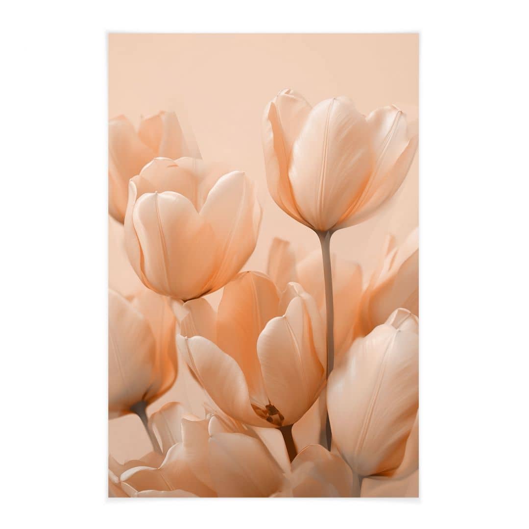 Kaeppel Stoffbild Pfirsichfarbene Tulpen - Treechild Outlet