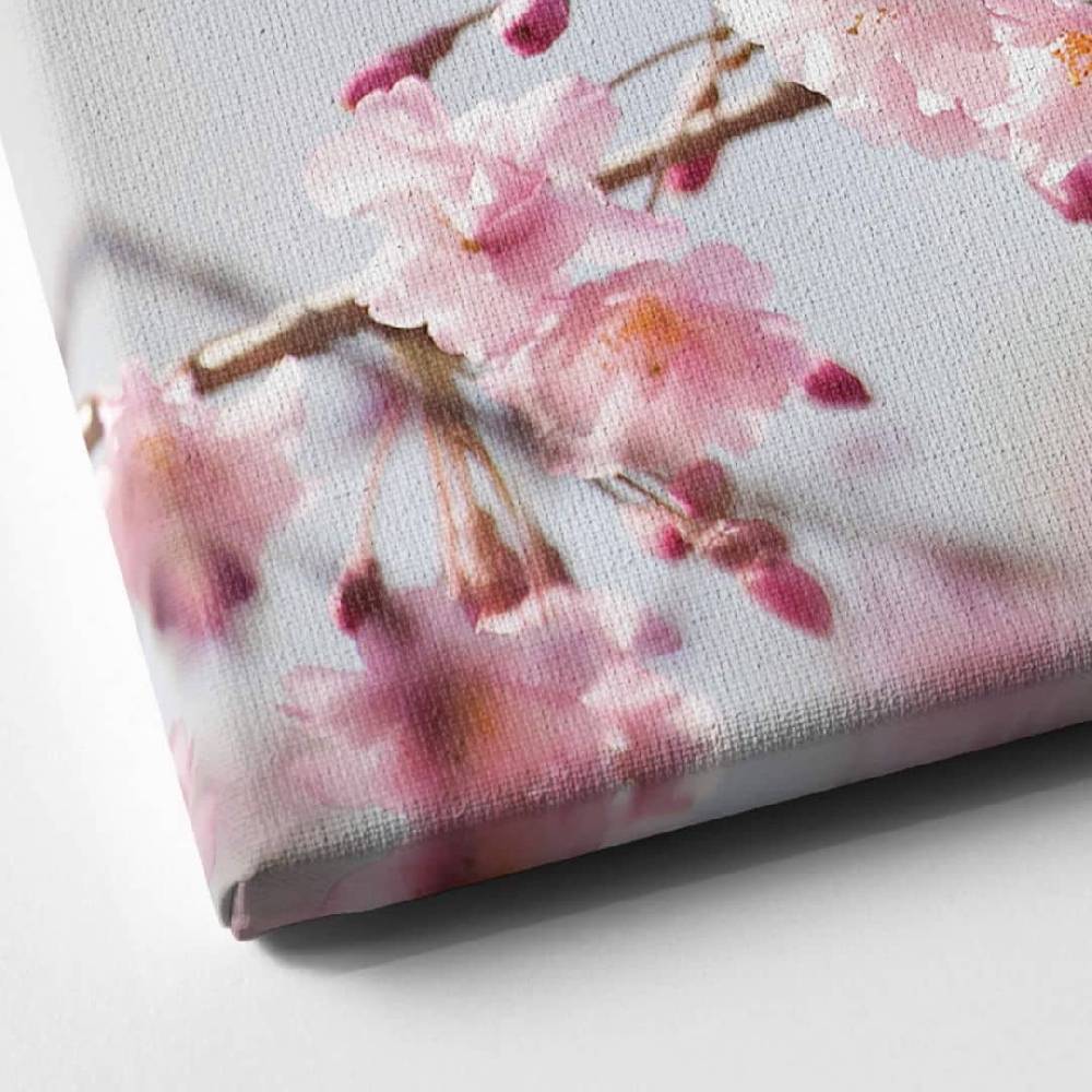 Kaeppel Leinwandbild Cherry Blossoms Panorama Sonderangebot