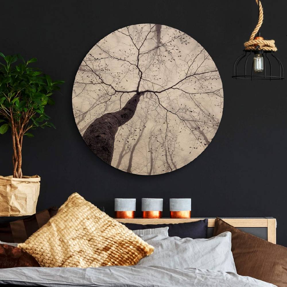 Kaeppel Holzbild Pavlasek - Ein Blick in die Baumkronen - Rund Günstig kaufen
