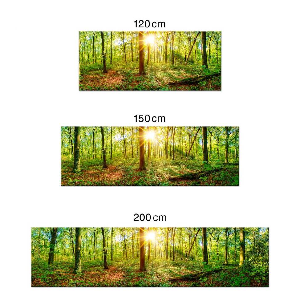 Kaeppel Küchenrückwand - Alu-Dibond - Tief im Wald Flash Sale
