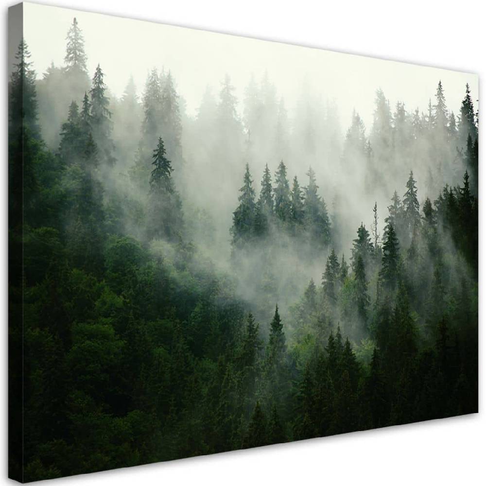 Kaeppel Leinwandbild, Wald im Nebel Zeitlich begrenztes Angebot