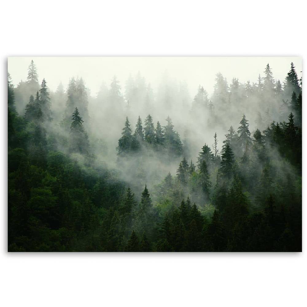 Kaeppel Leinwandbild, Wald im Nebel Zeitlich begrenztes Angebot