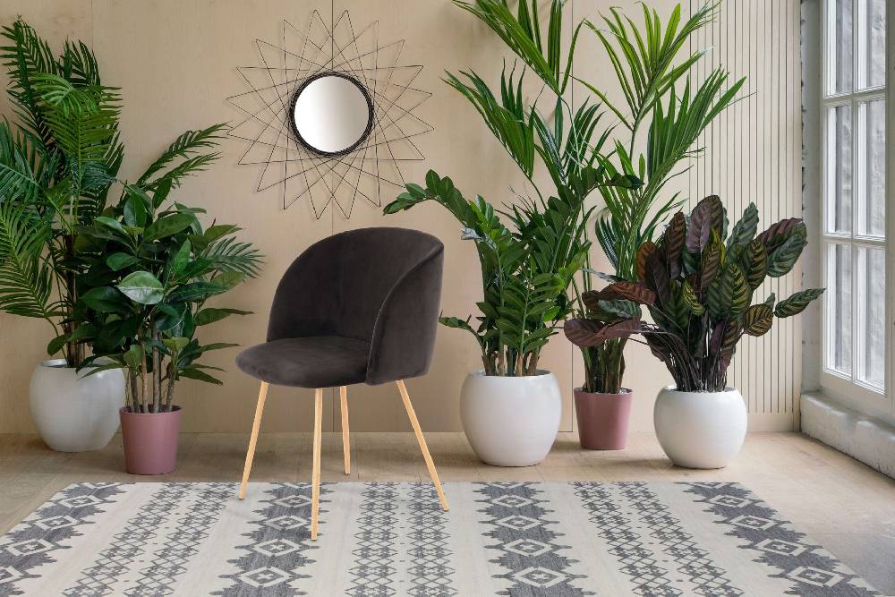 Kayoom Stuhl Celina 110 2er-Set Bis zu 65% Rabatt