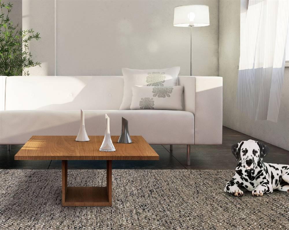 Kayoom Chic 8140 Grau 90cm x 160cm Großer Ausverkauf