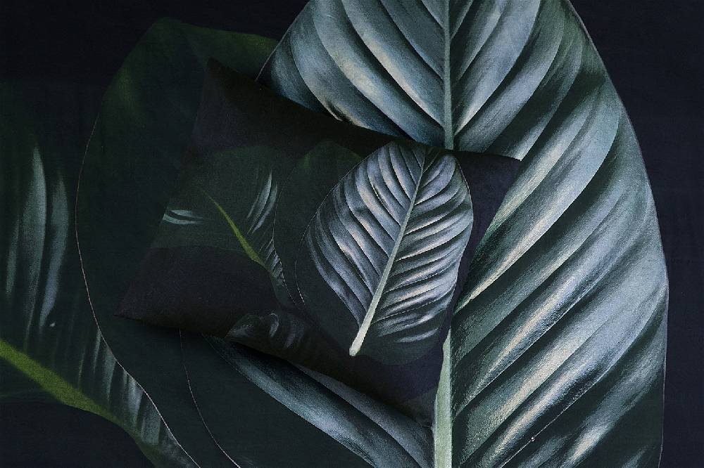 Kayoom Bettwäsche Tropical 125-DE Speichern exportieren