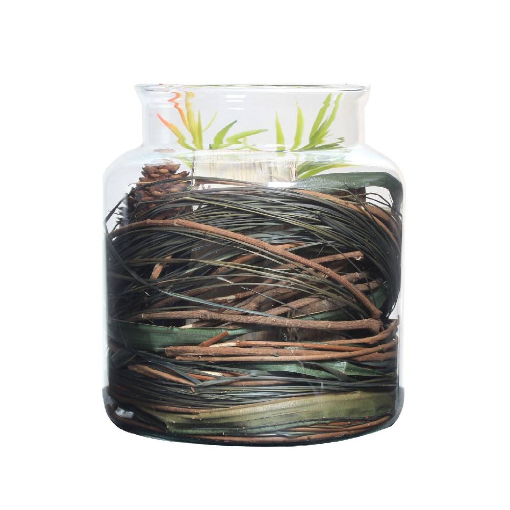 Kayoom Dekoglas Flora 810 Natural Meist gekauft