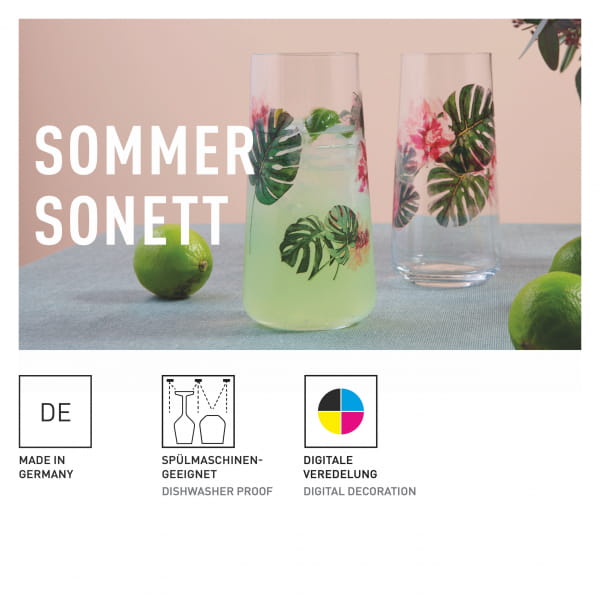 Ritzenhoff Sommersonett UNIVERSALGLAS-SET F24 Schlussverkauf