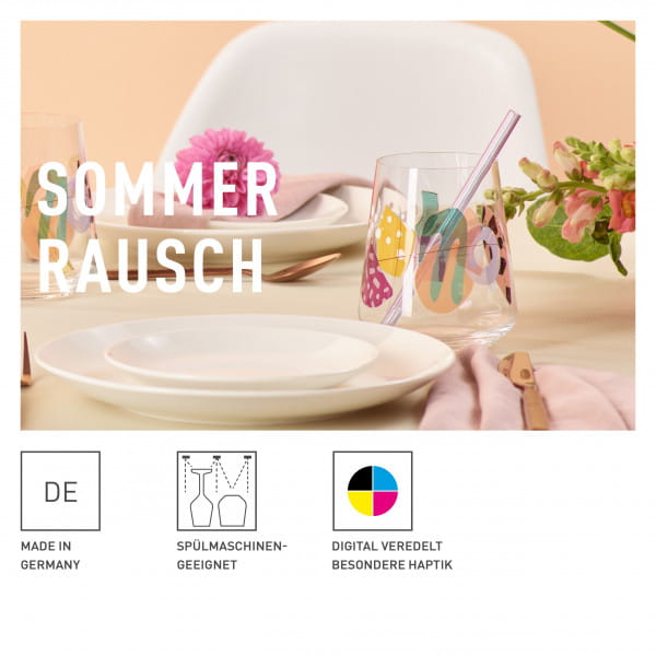 Ritzenhoff Sommerrausch UNIVERSALGLAS-SET #1, #2 Tägliche Deals